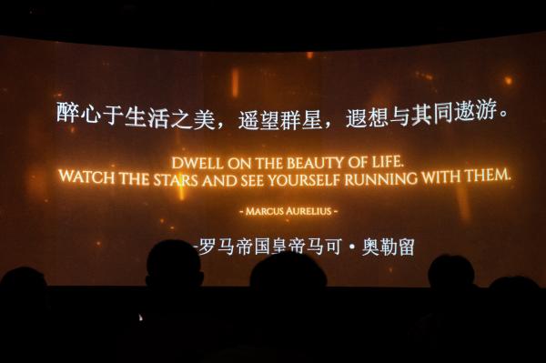 展览--盛世爱情