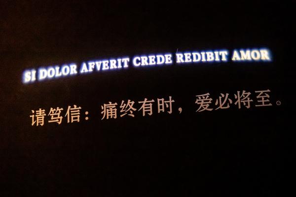 展览--盛世爱情