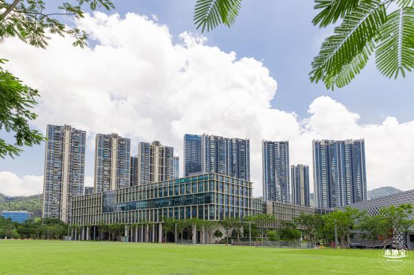 南方科技大学