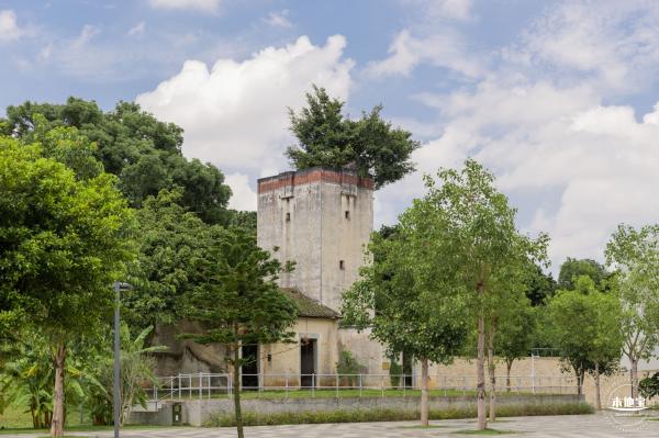 南方科技大学