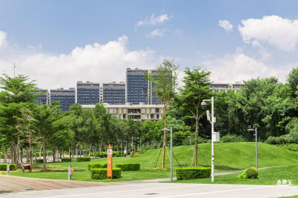 南方科技大学