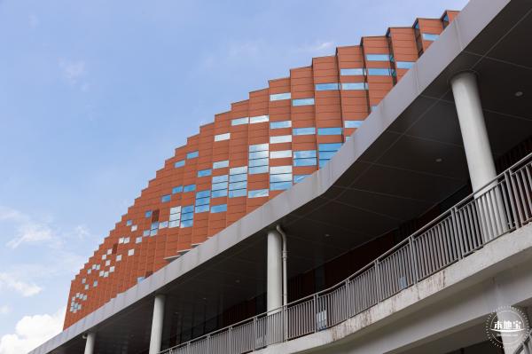 南方科技大学