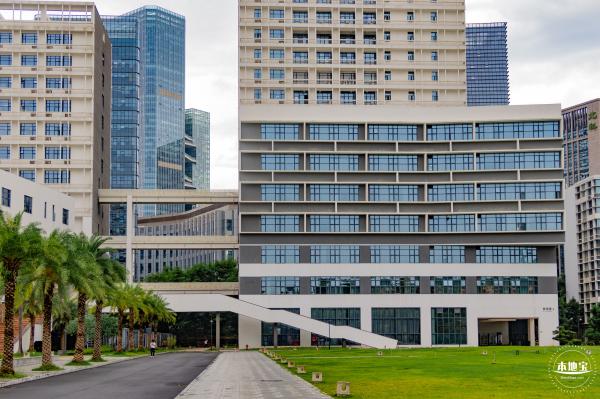 深圳大学