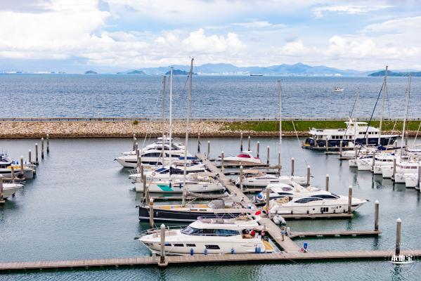 浪骑游艇会