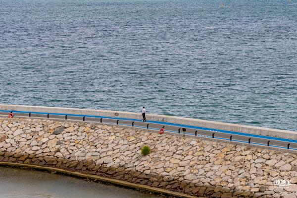 浪骑游艇会