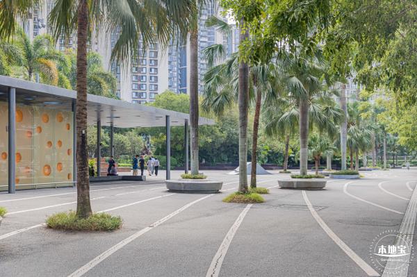 渔港中心公园