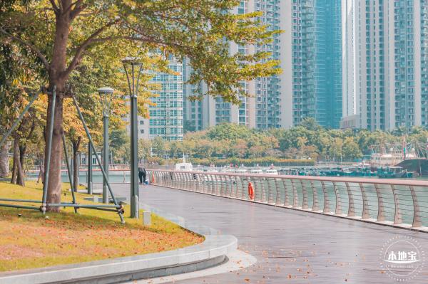 渔港中心公园