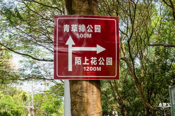 青草排公园