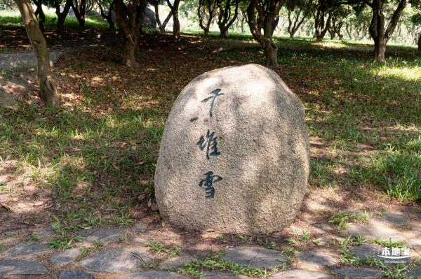 青草排公园