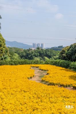 青草排公园
