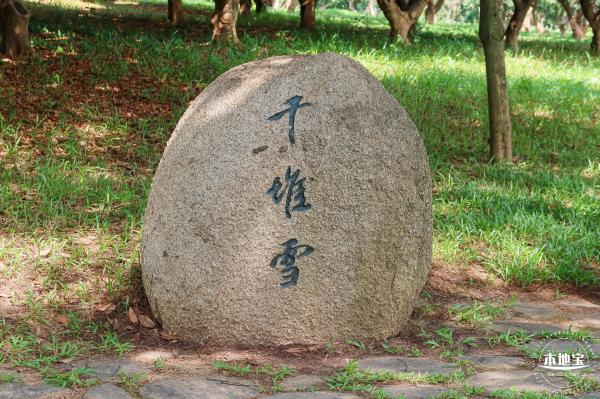 青草排公园