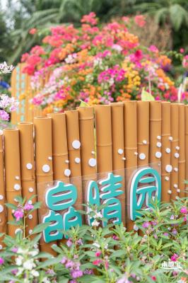 2023深圳簕杜鹃展