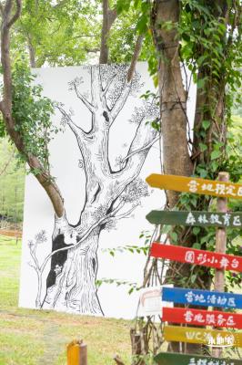 2023深圳簕杜鹃展