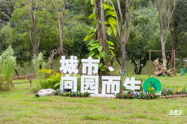 2023深圳簕杜鹃展