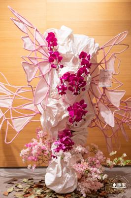 2023深圳簕杜鹃展