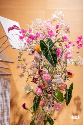 2023深圳簕杜鹃展