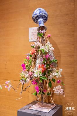 2023深圳簕杜鹃展