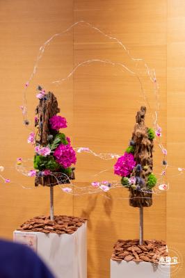 2023深圳簕杜鹃展