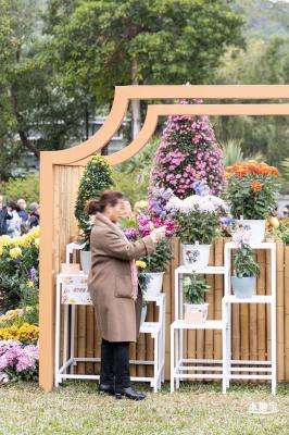 2023东湖公园菊花展