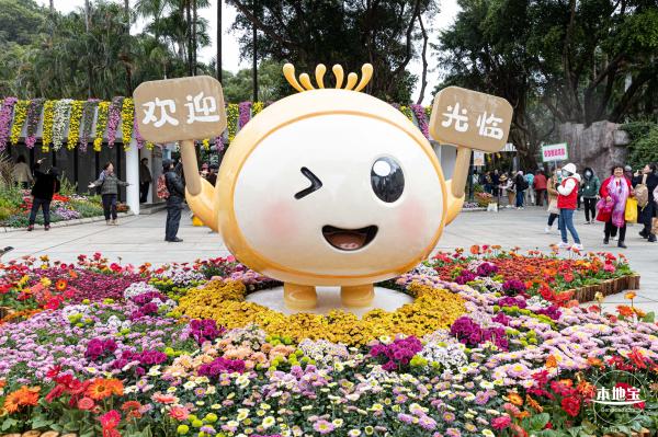 2023东湖公园菊花展