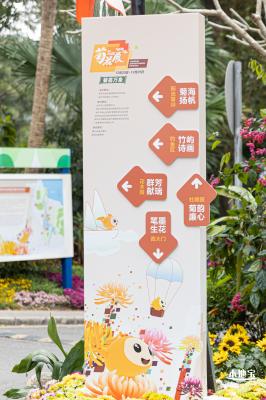 2023东湖公园菊花展