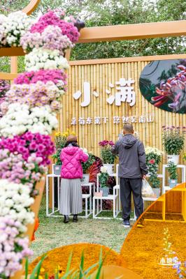 2023东湖公园菊花展