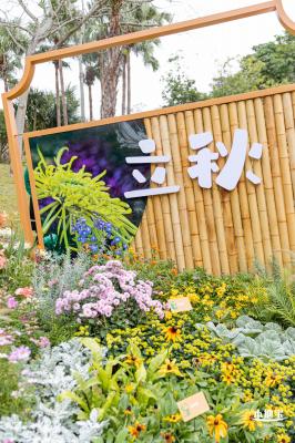 2023东湖公园菊花展