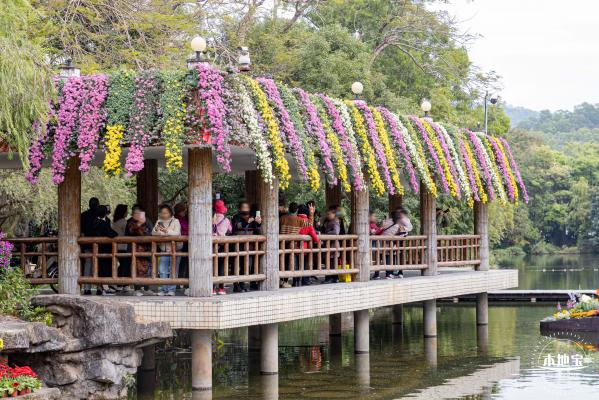 2023东湖公园菊花展