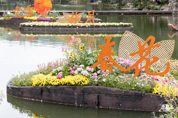 2023东湖公园菊花展