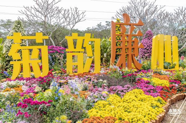 2023东湖公园菊花展