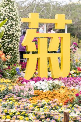 2023东湖公园菊花展