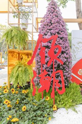 西丽生态公园花海&菊花展