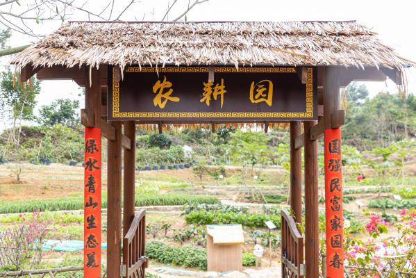 西丽生态公园花海&菊花展