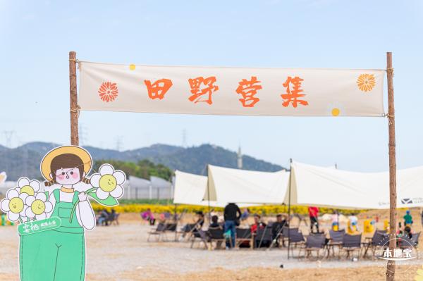 大鹏菊花展