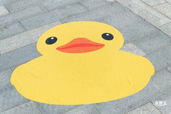 人才公园大黄鸭