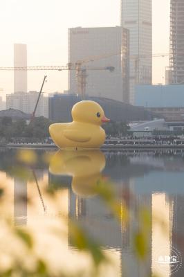 人才公园大黄鸭
