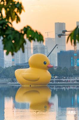 人才公园大黄鸭