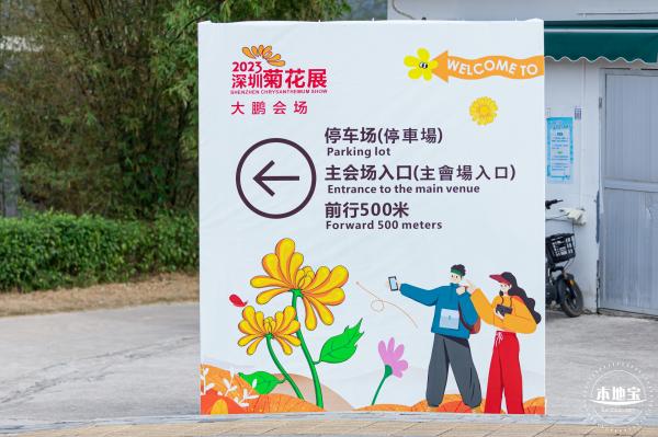 大鹏菊花展