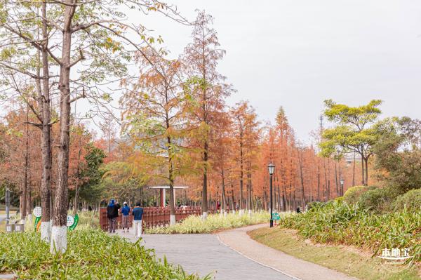 红花岭公园