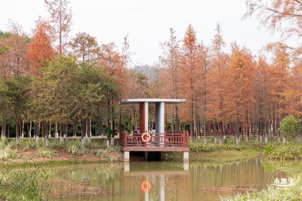 红花岭公园