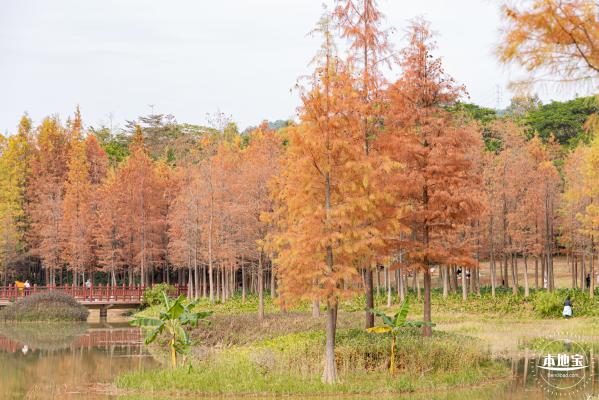红花岭公园