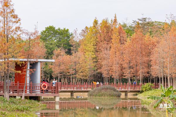 红花岭公园