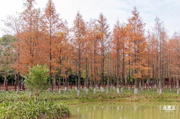 红花岭公园