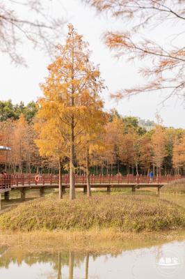 红花岭公园
