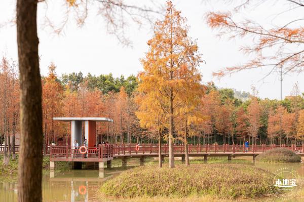 红花岭公园