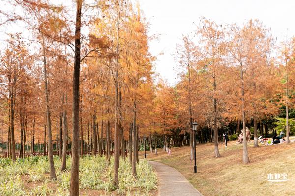 红花岭公园