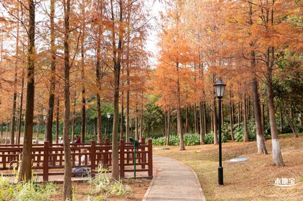红花岭公园