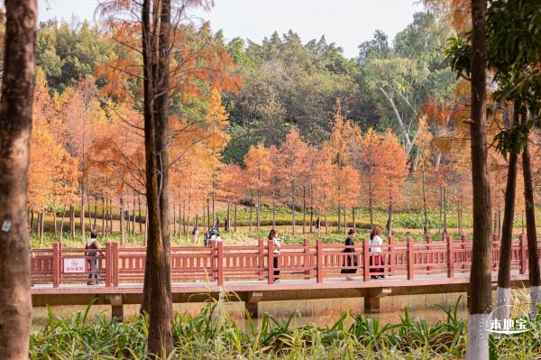 红花岭公园