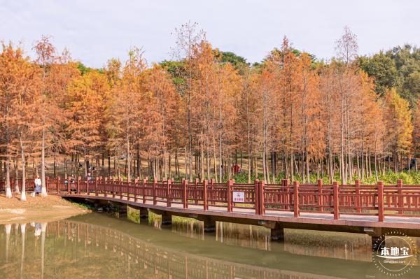 红花岭公园