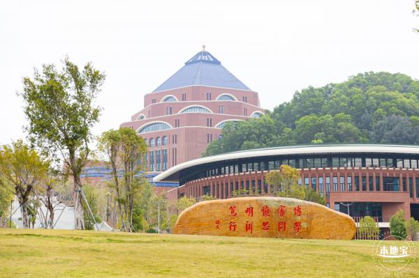 中山大学（深圳校区）